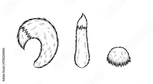 Hand-drawn sketch of three different furry animal tails and fur tufts, illustrating various shapes and textures.
