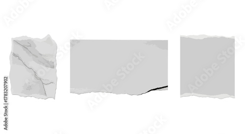 Collection of isolated blank ripped paper pieces with uneven, distressed edges, ideal for creative graphic design projects, presentations, and collages, offering a versatile aesthetic