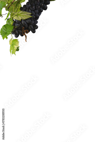 Bunch of grapes and grape leaves. PNG file.