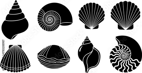 Shell vector black set icon. Vector illustration set shell sea. Isolated icon black seashell on white background .
