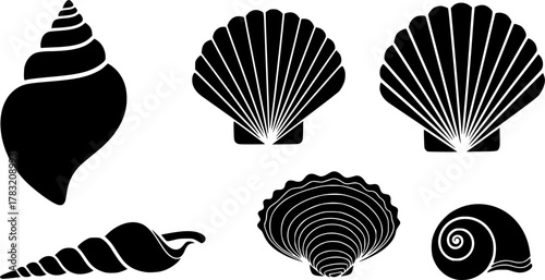Shell vector black set icon. Vector illustration set shell sea. Isolated icon black seashell on white background .
