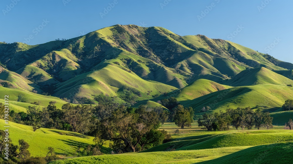Obraz premium Lush Green Rolling Hills Under Bright Blue Sky in Serene Landscape with Majestic Mountains in Background
