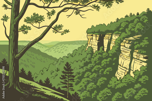 “Ozark National Forest with cliffs and forest canopy, earthy vector”