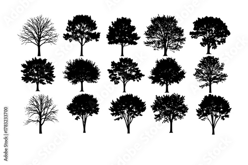various deciduous trees silhouettes on the white background. vector set. PNG white background
