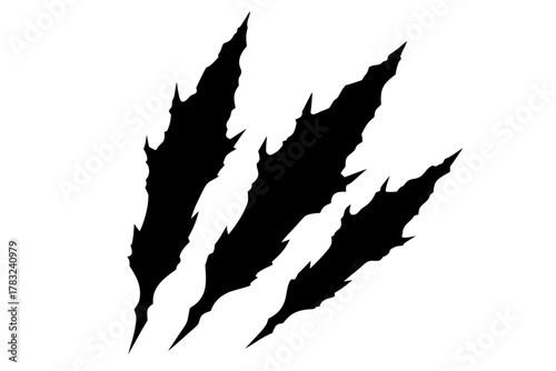 Animal claw marks silhouette vector, Claw scratches illustration. Tiger,  bear, lion scratches sign