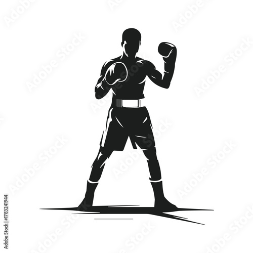 vector silhouette of a boxer stands with a pose