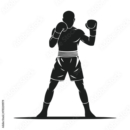 vector silhouette of male boxer in fighting stance