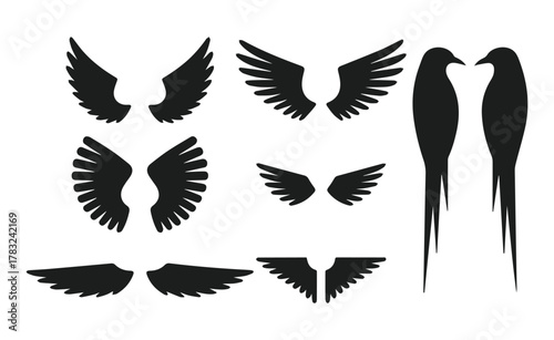 vector set of bird wings and flying silhouettes