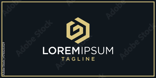 GD Hexagon Logo Design Inspirations