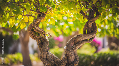 synchronized. Two tropical trees with intertwined branches sway gently in the breeze. safety posters, maintenance manuals, designed for industrial assembly lines and welding operations.