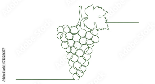 Grapes with leaf fruit food