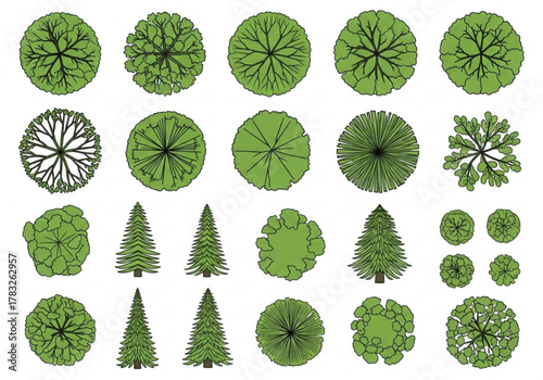 Collection of various green trees seen from above