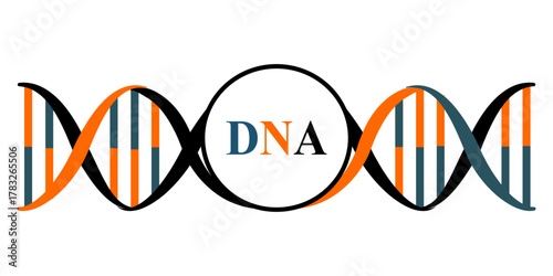 Stylized vector illustration of the DNA double helix structure with orange and blue strands on a black background. Perfect for science, medical, and biotechnology concepts.
