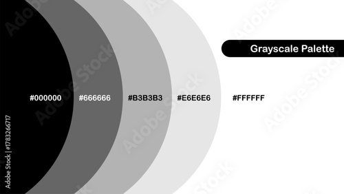 Grayscale palette with smooth transition from black to white, ideal for minimal design, branding, contrast studies, UI themes, and monochrome visual projects.