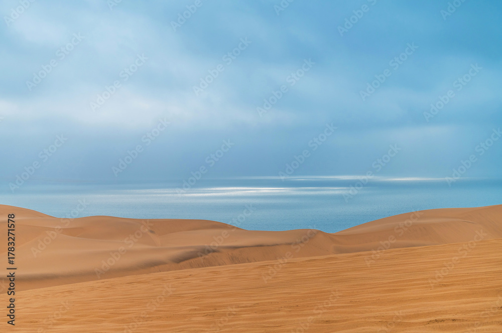 Fototapeta premium Le Désert Du Namib rencontre l'Océan Atlantique en Namibie