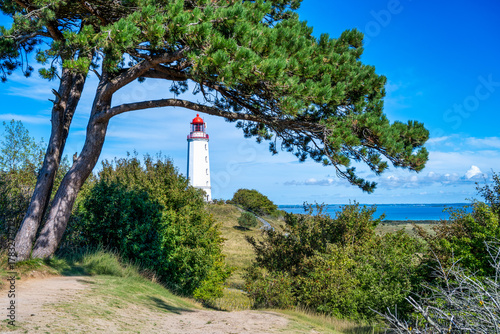Fototapeta Naklejka Na Ścianę i Meble -  A view of the lighthouse from the island of Hiddensee on the Baltic Sea