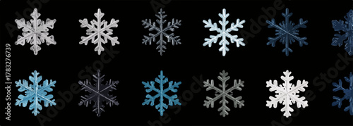 Collection of diverse snowflake vector graphics isolated on a black background for winter design.