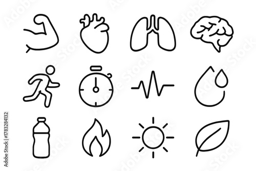 Body Adaptation Icons. Body adaptation. Line outline icon set of body adaptation: muscle, heart, lungs, brain,