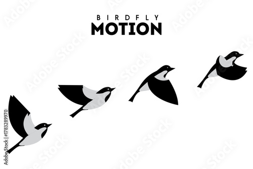 Flying Bird motion Silhouette vector illustration. Bird flight route with start. bird flying in the air. flying bird infographic.