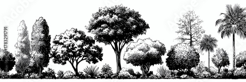 Vecteur d'une variété d'arbres et de plantes dessinés à la main, style gravure, sur fond blanc.