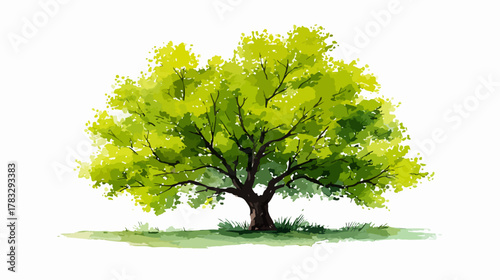 Illustration artistique d'un arbre luxuriant aux feuilles vertes vives et au tronc robuste, évoquant la nature et la croissance.