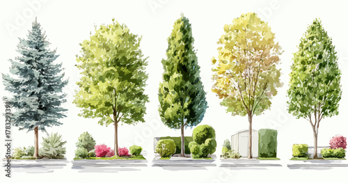 Cette collection d'arbres variés et de végétation est illustrée en vecteurs graphiques, idéale pour le design paysager ou l'aménagement urbain durable.