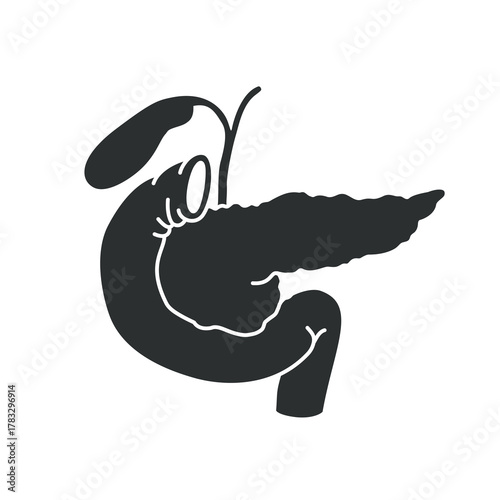 Pancreas organ logo flat design, pancreas icon, simple hand drawn organ vector illustration, flat design element. Illustration design for, logo, symbol, icon, and emblem.