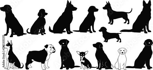Dog breed vector set, silhouette and detailed illustrations, pet clipart collection, sitting and standing poses, animal design, black and white artwork