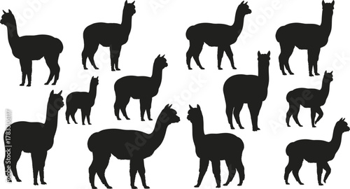 Llama silhouette vector set, black animal icons, walking and standing poses, side profile illustrations, stylized artwork, minimalist design, clipart collection