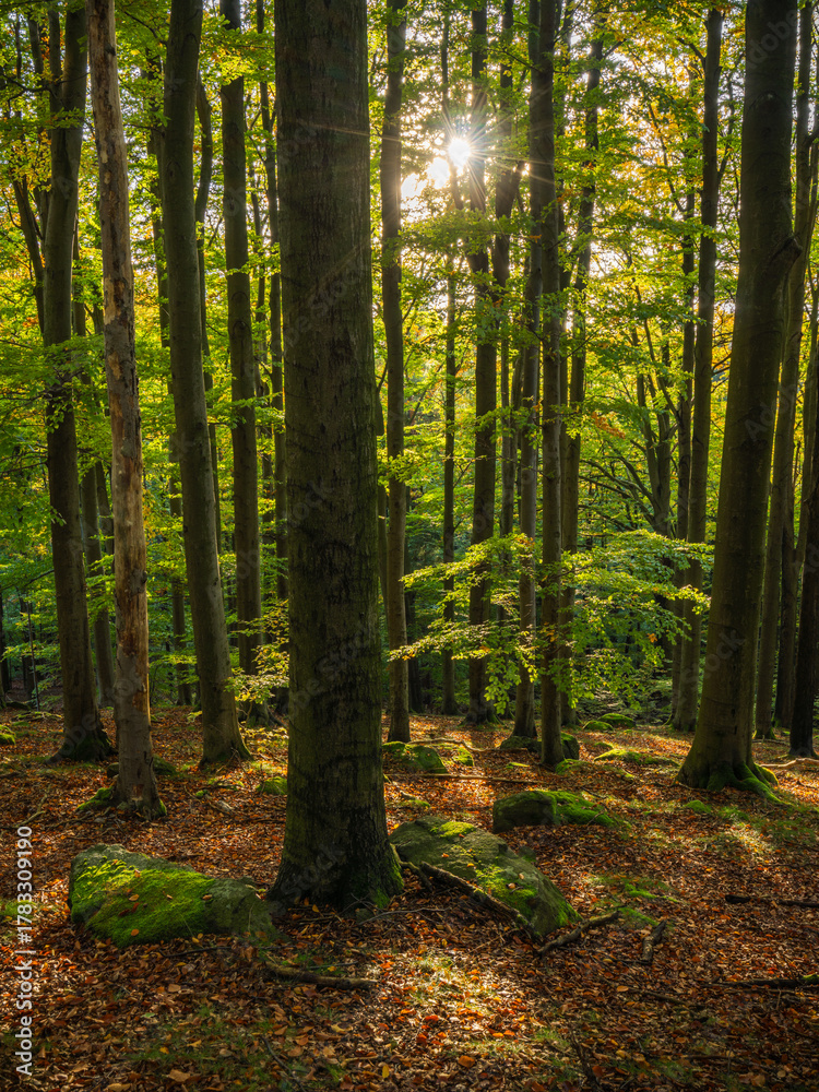 Fototapeta premium miment in peace - Ein Moment in Frieden