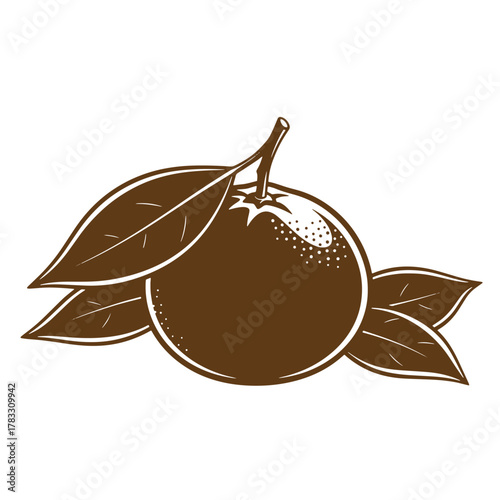 Classic vintage art style depiction of an orange fruit with leaves on a white background