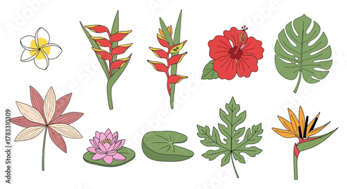 Tropical Bloom Collection Exotic Floral Designs & Botanical Elements