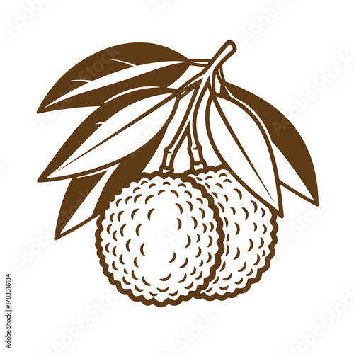 Vintage art illustration of fresh lychee fruits with leaves and a brown color scheme