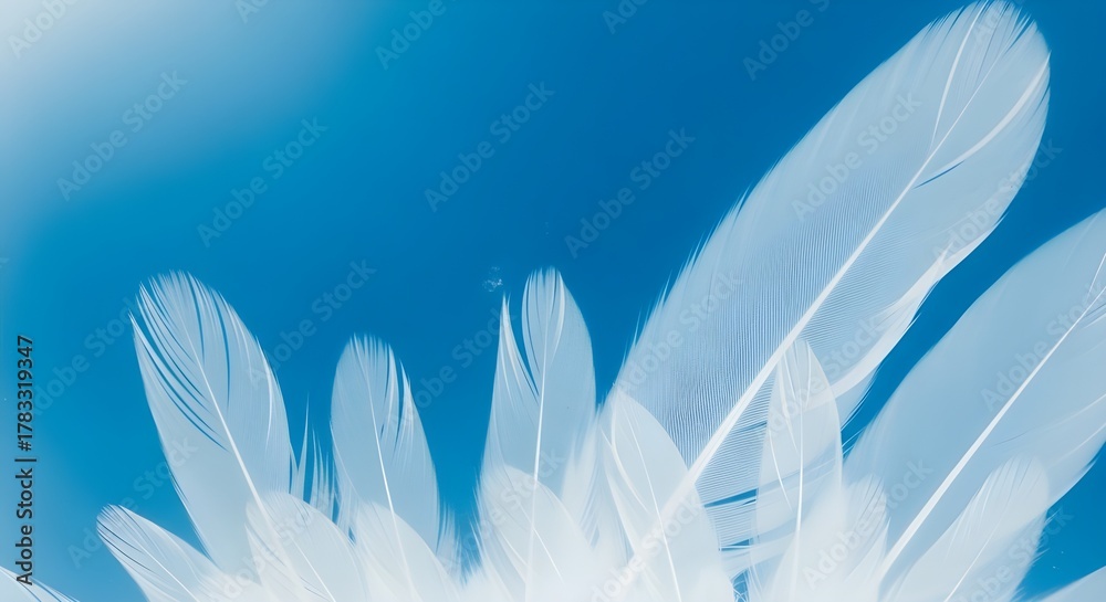 Naklejka premium white feathers background