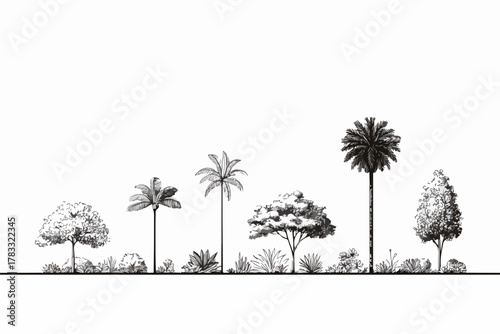 Eine Sammlung von verschiedenen Baumarten und Pflanzen, die in einer Reihe angeordnet sind.