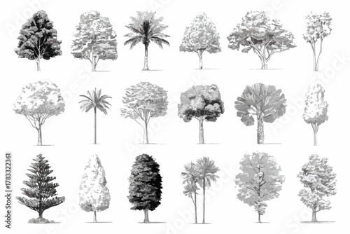 Eine Sammlung von Vektorzeichnungen verschiedener Baumarten in detaillierter Darstellung.