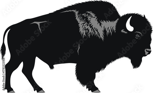 American bison silhouette, wildlife vector, buffalo illustration, prairie animal art, black and white drawing, nature conservation, cad drawing flat vector illustration