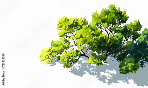Grüner Baum mit Schatten auf weißem Hintergrund, Illustration im Vektorstil