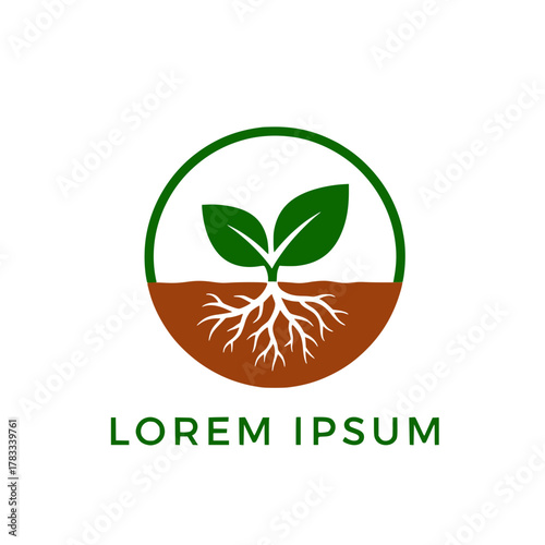 Green sprout with roots growing from soil, symbolic of growth and new beginnings