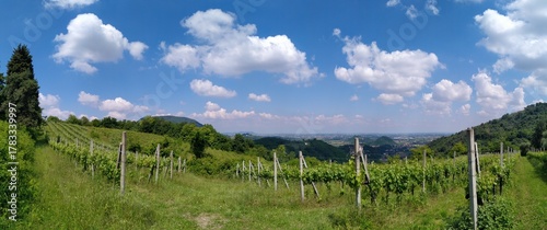 Vista panorama Colli Euganei