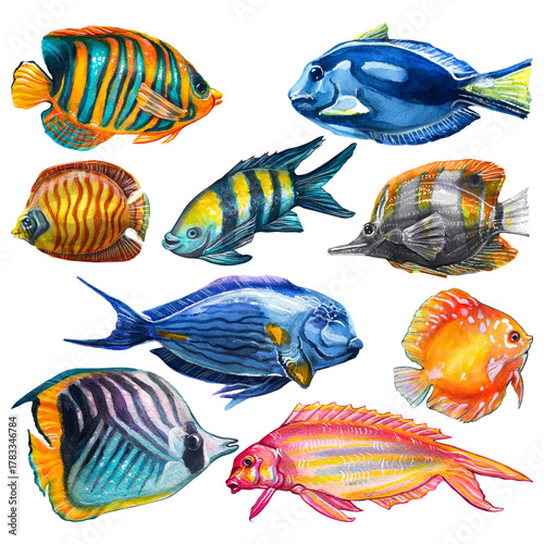 A large set featuring a variety of exotic fish in all colors. Watercolor painting seamless on a white background.