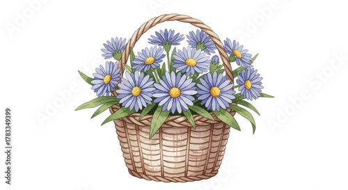 Delightful watercolor illustration of vibrant purple daisy-like flowers elegantly arranged in a rustic woven wicker basket, evoking spring and cheer