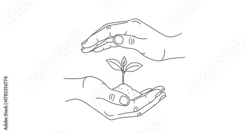 Illustration of hands protecting a small plant growing in soil.