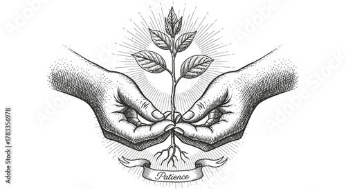 Illustration of hands holding a plant with roots and a banner with the word 'Patience'.