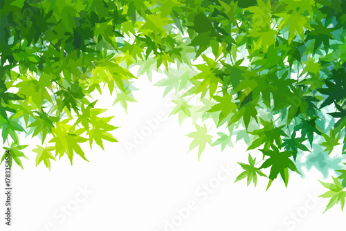 新緑の季節にぴったりの、水彩タッチで描かれた爽やかなカエデの葉のフレーム素材です。背景素材や装飾として使いやすいベクターデータ。