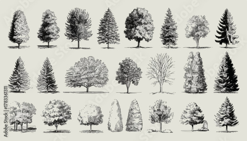 様々な種類の木々が描かれた、手書き風のベクターイラスト集です。