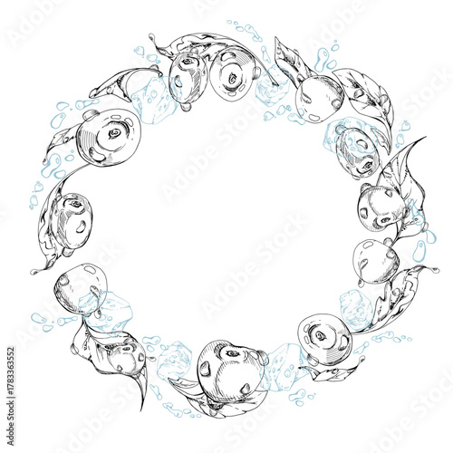 Sweet cherry cerise flying in water splashes drops ice cubes, hand drawn vector ink, ripe line garden berry leaves. Circle wreath frame illustration. Restaurant cafe menu, farmers market, wedding