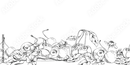 Sweet sour line cherry white flowers, plant leaves, hand drawn vector ink, cerise berry in clusters on branches. Seamless banner garland illustration. Restaurant, cafe menu, wedding, farmers market