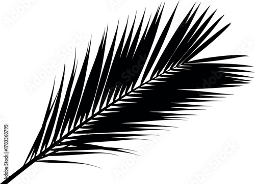 Black silhouette of a palm frond against a white background
