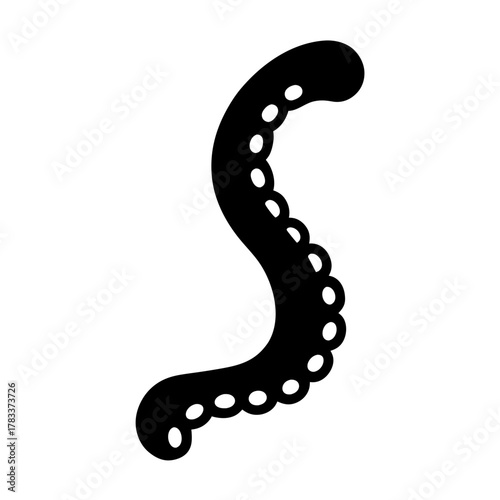 Illustration of an Octopus Tentacle with Suction Cups on a White Background